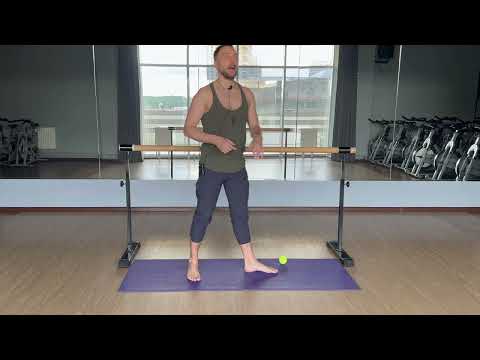 Видео: ГДЕ ВЕС В ЛАТИНЕ / 2024