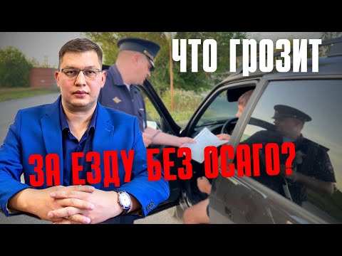 Видео: Что грозит за езду без ОСАГО в 2025 году?