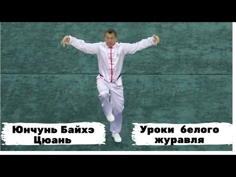 Видео: Урок  1 Юнчунь Байхэ стойка, перемещение.