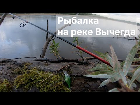 Видео: Рыбалка на Вычегде , д. Важкурья