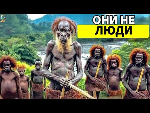 Видео: Страна, где люди живут ПРИМИТИВНО – Жизнь в Конго | Путешествие-документалка