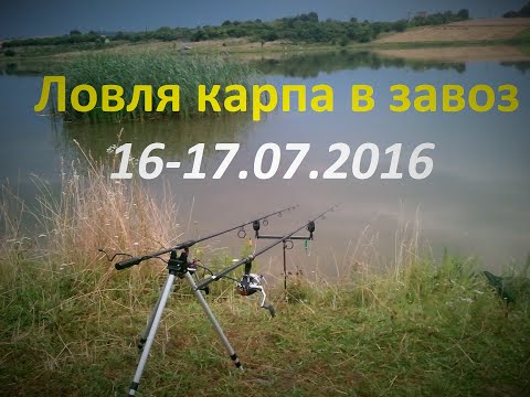 Видео: Ловля карпа в завоз