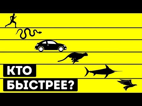 Видео: Кто быстрее всех в мире?