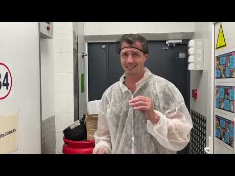 Видео: Pest: Обслуживание ловушек