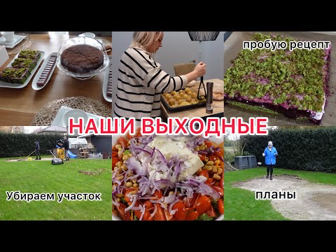 Видео: VLOG🇩🇪: ✨ГОТОВИМ УЧАСТОК К ЗИМЕ/ СУББОТНИЙ УЖИН С СЕМЬЁЙ/ НОВЫЙ ПИРОГ 🥧 НАШИ ПЛАНЫ✨