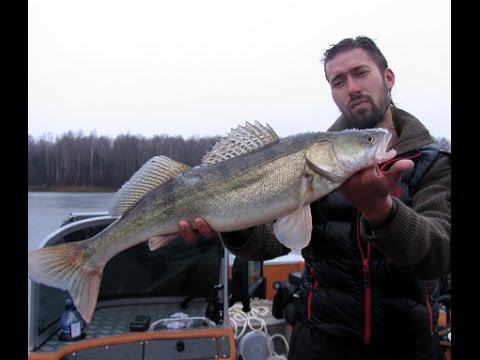 Видео: Пётр Денисов о Яузе и Судаках - Часть первая