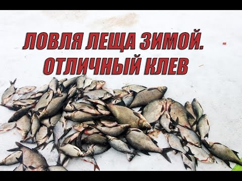 Видео: Ловля леща зимой. Подводное видео. День второй