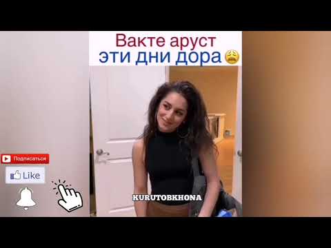 Видео: Вакте ки аруст эти дни дора, Вакте ки аруст хдша доно мегира Курутобхона Переводи Точики Прикол 2020