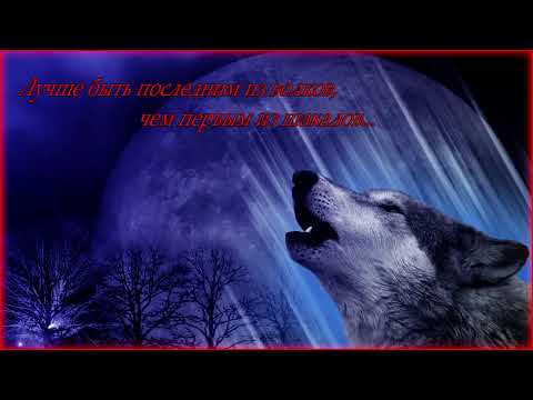 Видео: Акустика песен Виктора Цоя и песен группы "Виктор".