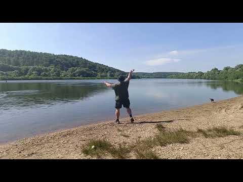 Видео: Занятия с питбулями,плавание нагрузка на мышцы 
