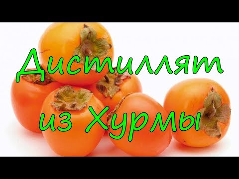 Видео: Дистиллят из хурмы.