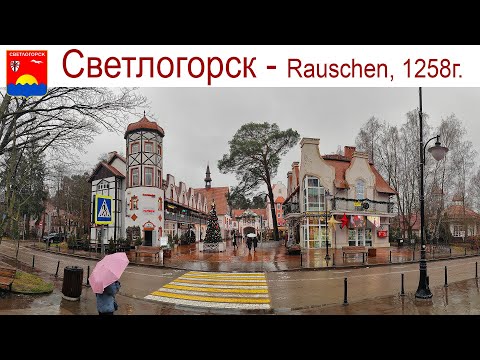 Видео: Светлогорск, Зеленоградск и вкусный рыбный день, 22.12.2024г.