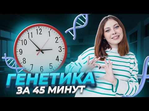 Видео: Вся теория по генетике за 45 минут | Биология ЕГЭ для 10 класса | Умскул