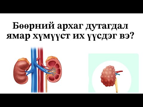 Видео: бөөрний  дутагдал гэж юу вэ?