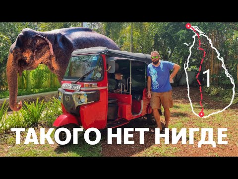 Видео: Галле - Слоновий питомник Пиннавала - Анурадхапура. На СЕВЕР ШРИ ЛАНКИ на тук-туке - 1