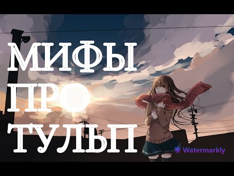 Видео: МИФЫ про тульп, и их разоблачение.