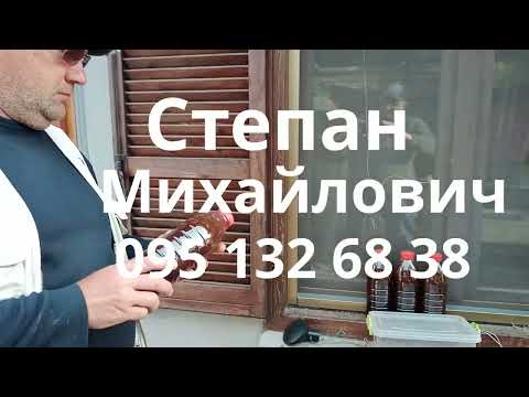 Видео: Саджаємо Азиміну та Хурму!!!