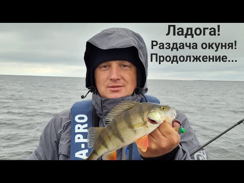 Видео: Ладога🎣Осенняя рыбалка🍁Продолжение.....