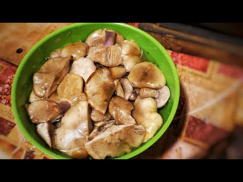 Видео: Маринованные грибы синеножки! Пикантный маринад с острым перцем
