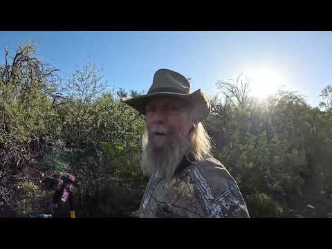 Видео: Бесконечная охота за золотыми самородками