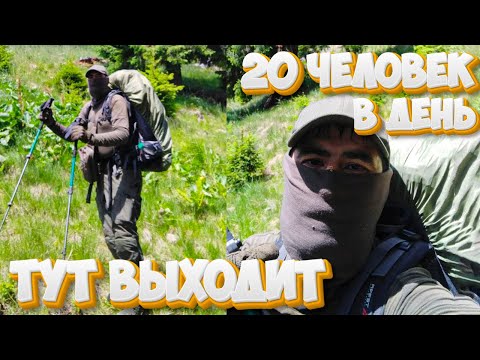 Видео: #266 Порвали Белый билет на кусочки, и дали повестку. Пришлось совершить Побег. 11 дней  90 км.