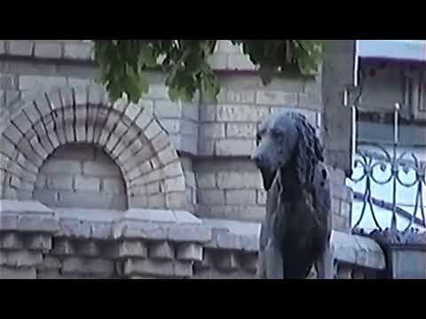Видео: Узбекистан / Ташкент 1999 год