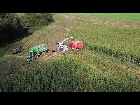 Видео: Мокрый кукурузный силос на холме, застрявший прицеп с трактором John Deere и поломка комбайна