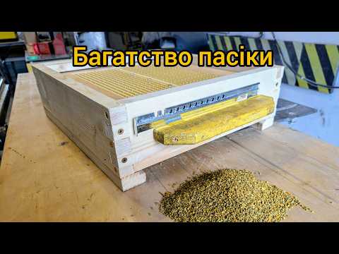 Видео: Пилок-золото пасіки! Збір та сушка пилку. Донний пилкозбірник.