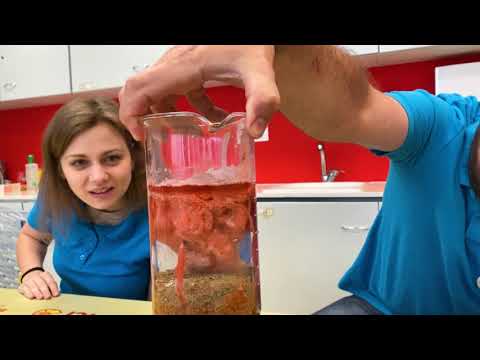 Видео: Как изригват вулканите? | #МузейкоВкъщи | Ден 47