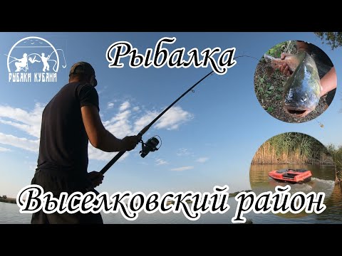 Видео: РЫБАЛКА ВЫСЕЛКОВСКИЙ РАЙОН