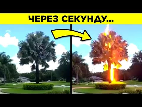 Видео: Удивительные Вещи, Которые Вы Не Видели. Часть 23