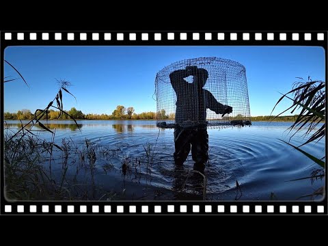 Видео: Ловушка для рыбы ФИНСКАЯ КАТИСКА. Как легко поймать рыбу.