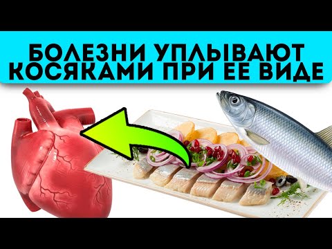 Видео: Врачи уминают за обе щеки! Обычная соленая селедка разбивает тромбы, рак и даже …