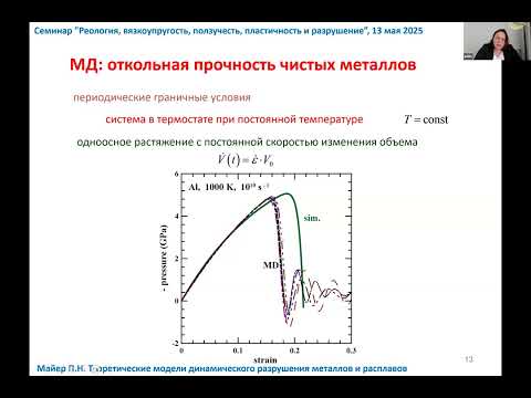 Видео: 36. П.Н. Майер. Модели динамического разрушения металлов и расплавов