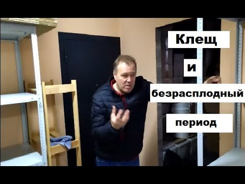 Видео: Степаненко о клеще Варроа и безрасплодном периоде.