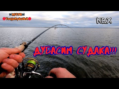 Видео: Дніпро роздає судаків! Старе добре копито! Рибалка на судака!