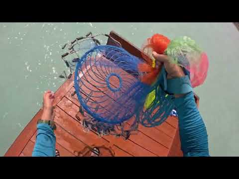 Видео: Открытие сезона рыбалки на Балхаше 11 июня 2025 года