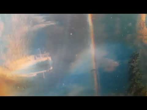 Видео: Чёрный дельфин  Выпуск 520