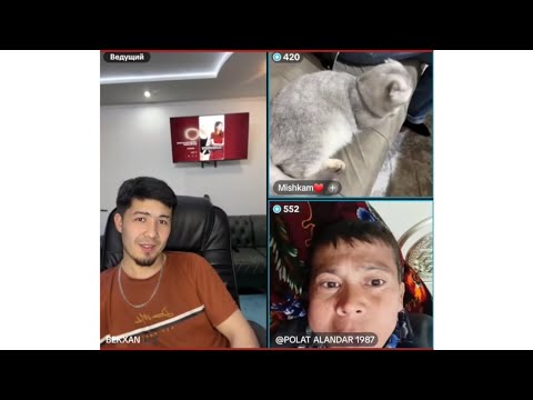 Видео: 28 февраля 2025 г.