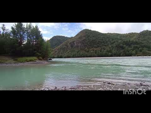 Видео: sounds of nature. Katun River. (звуки природы, река Катунь)