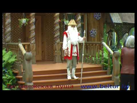 Видео: Резиденция Деда Мороза - Беловежская пуща - Беларусь