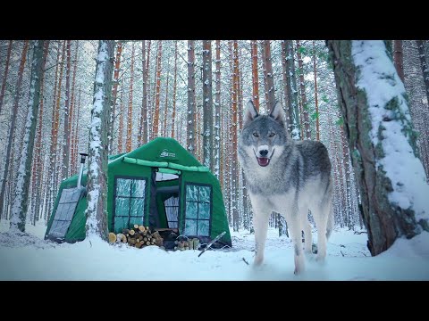 Видео: ГОРЯЧИЙ ПАЛАТОЧНЫЙ ЛАГЕРЬ С КУРТОМ БОРУ И ПЕЧЬЮ В ГЛУБИНЕ НЕтронутого СНЕЖНОГО ЛЕСА