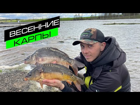 Видео: ЛОВЛЯ КАРПА НА ФИДЕР / СЕКРЕТЫ ЛОВЛИ КАРПА / FROS FISHING