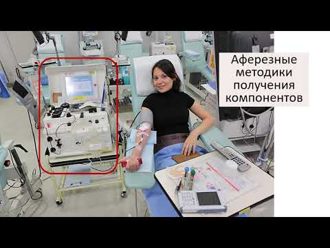 Видео: 2 компоненты крови 2021