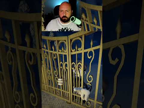 Видео: Не понял, а потом понял | Praded в Olivia  #pradedgames  #walkthrough #прохождение #gameplay