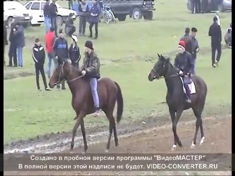 Видео: Скачки Аксай 23.03.2013 год