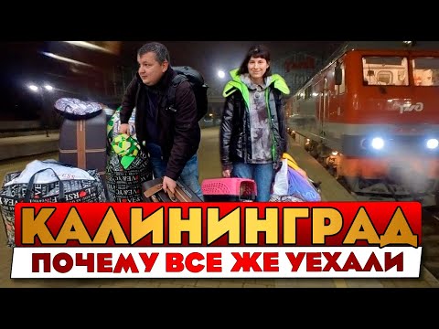 Видео: Почему уехали из Калининграда? Новые правила ЕС провоза животных. Куда мы направляемся?