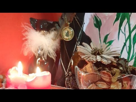 Видео: Ваш Будущий муж 👆