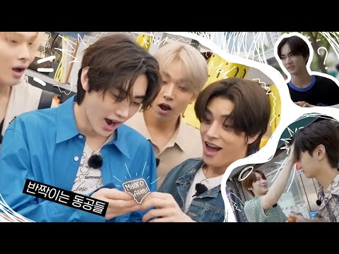 Видео: энхайпен в большом городе