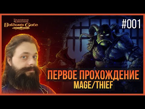 Видео: 001. Прохождение BG1 впервые и вслепую. Mage/Thief.